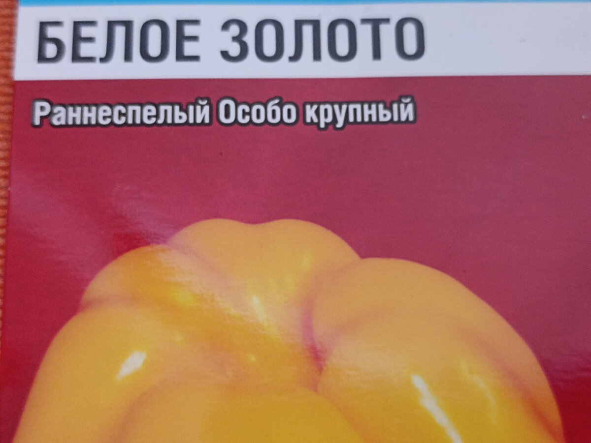 Перец сладкий Белое золото. Фото автора