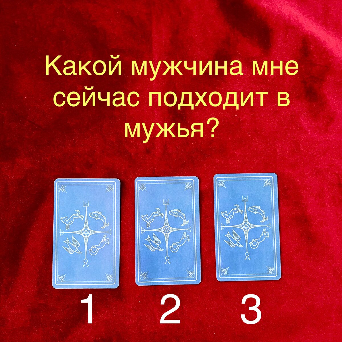 Выберите одну карту 
