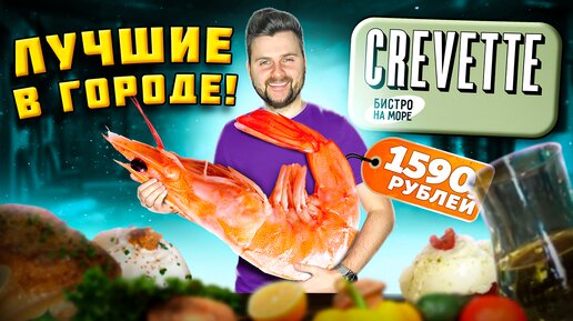 ГИГАНТСКИЕ креветки за 1590 рублей / ВКУСНЕЙШИЕ морепродукты в Петербурге / Обзор ресторана Crevette