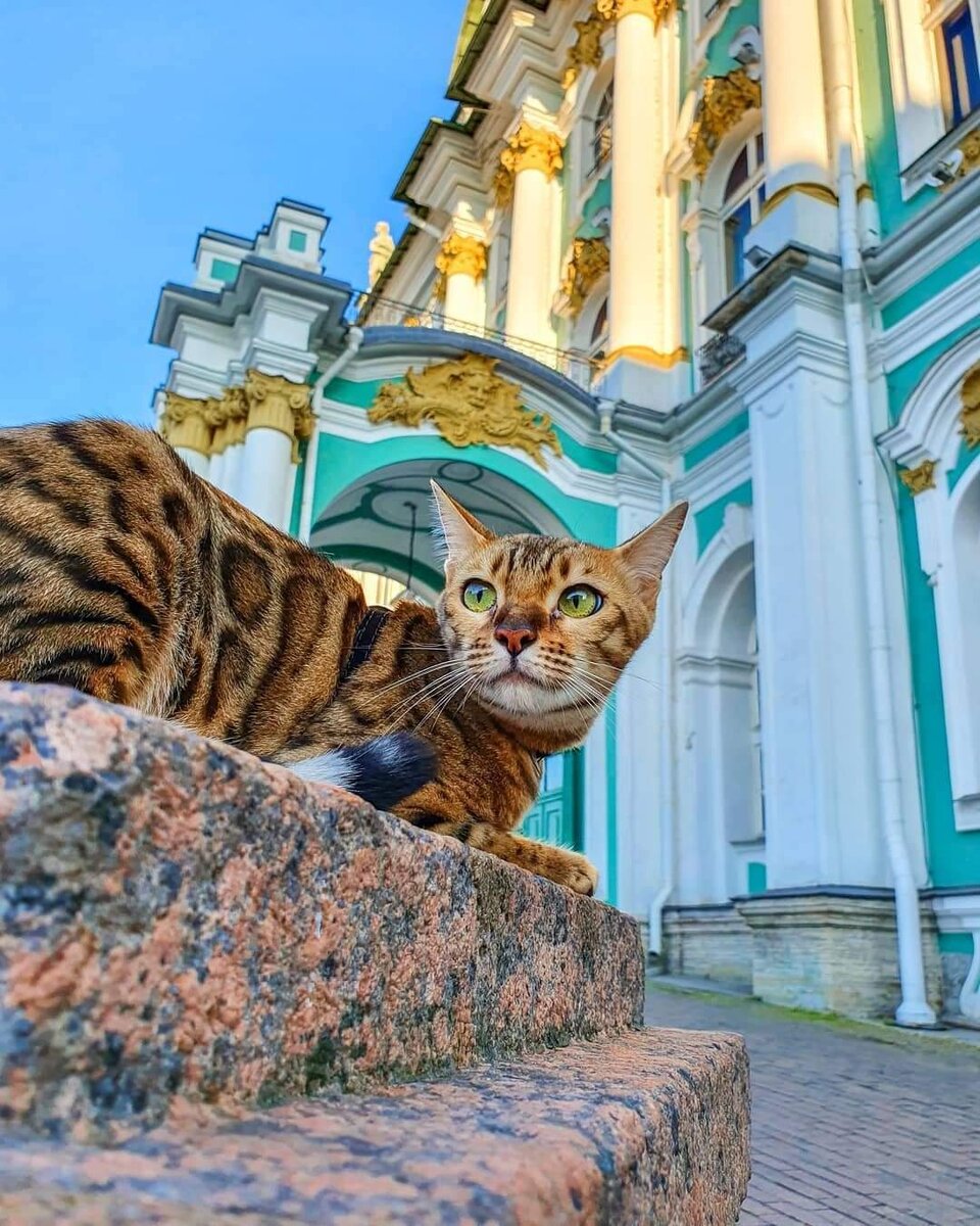 Источник фото: damion.club