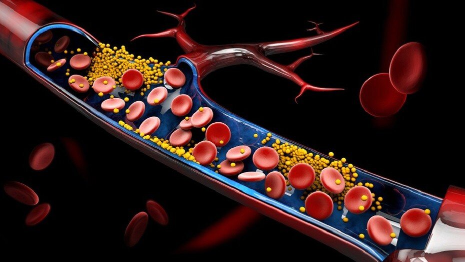     Источник: здесь и далее Pormezz, udra11, Victor Josan, Kateryna Kon,Tatjana Baibakova/ShutterStock/Fotodom.ru