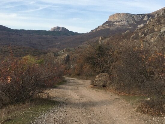     фото: crimea.mk.ru