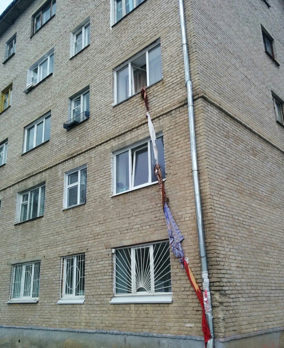 Фото из свободных источников 