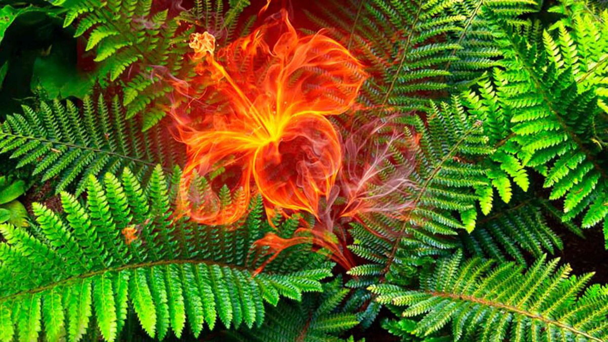 Фото: Яндекс картинки