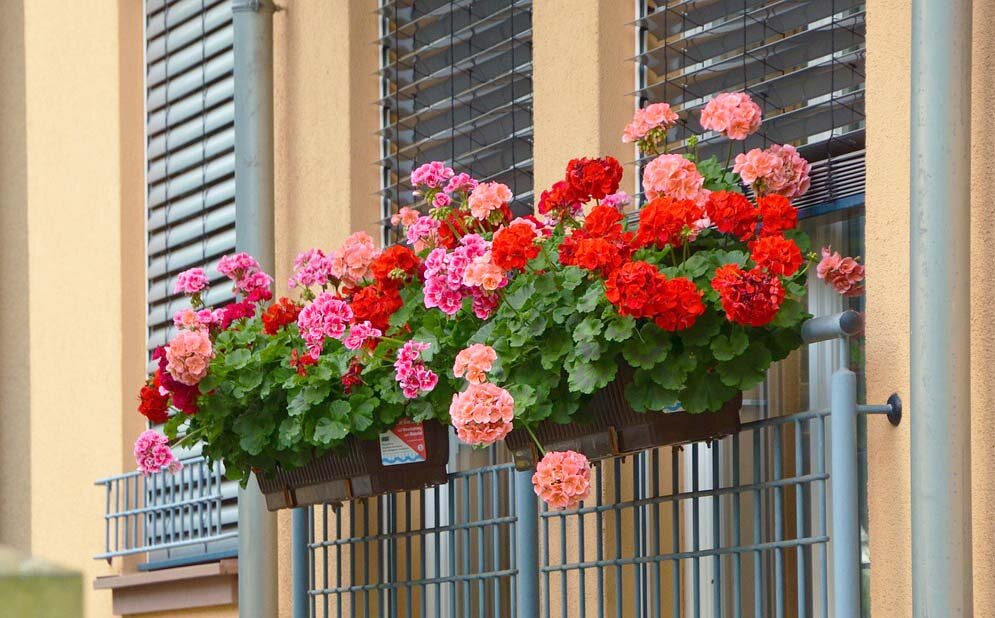 Фото: pixabay.com