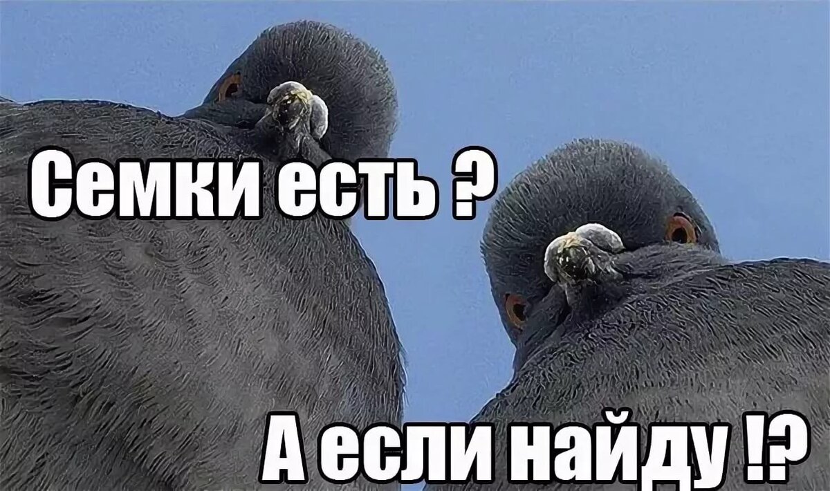 из тырнета