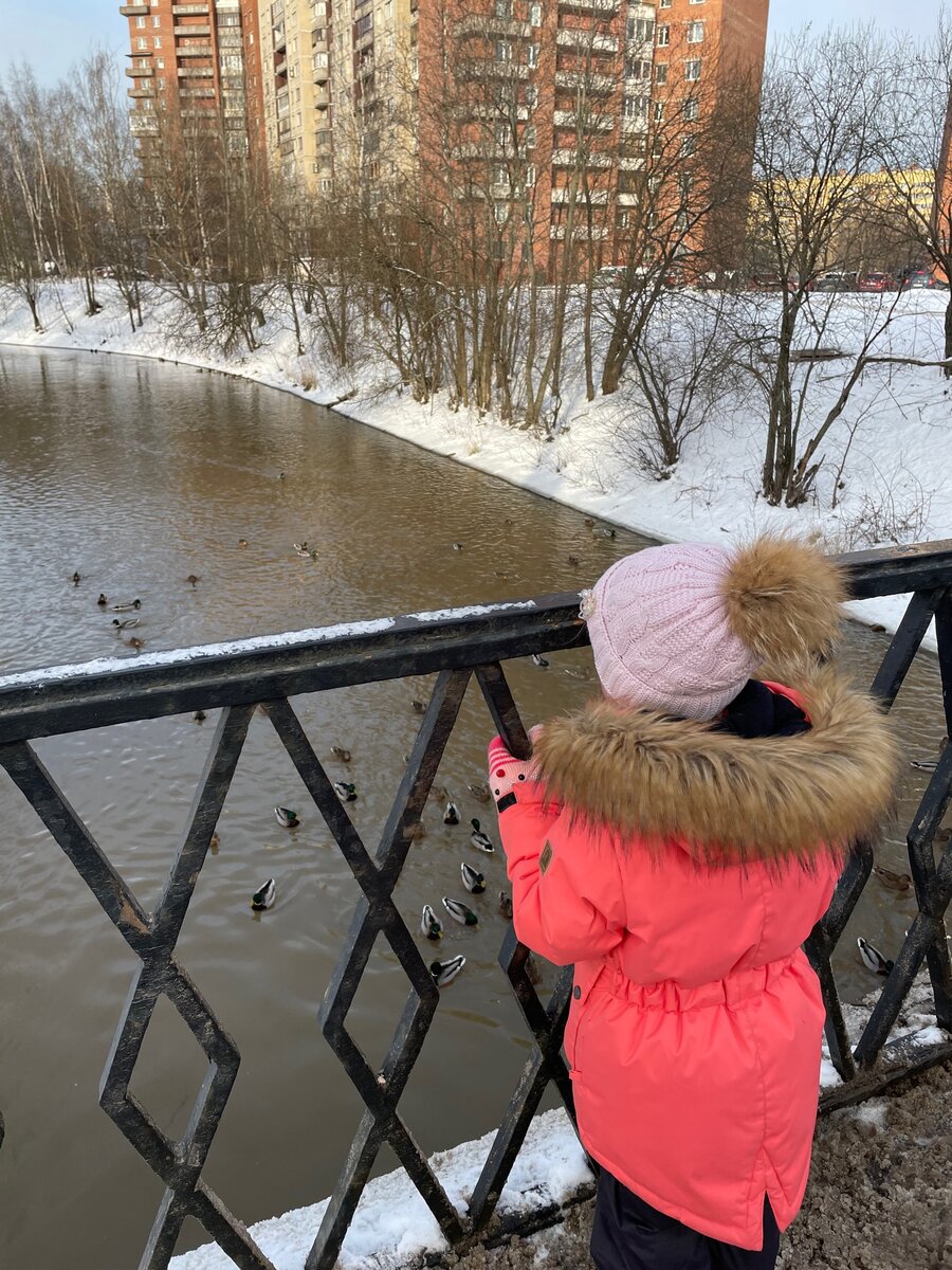 В 3х минутах ходьбы от дома река с уточками.