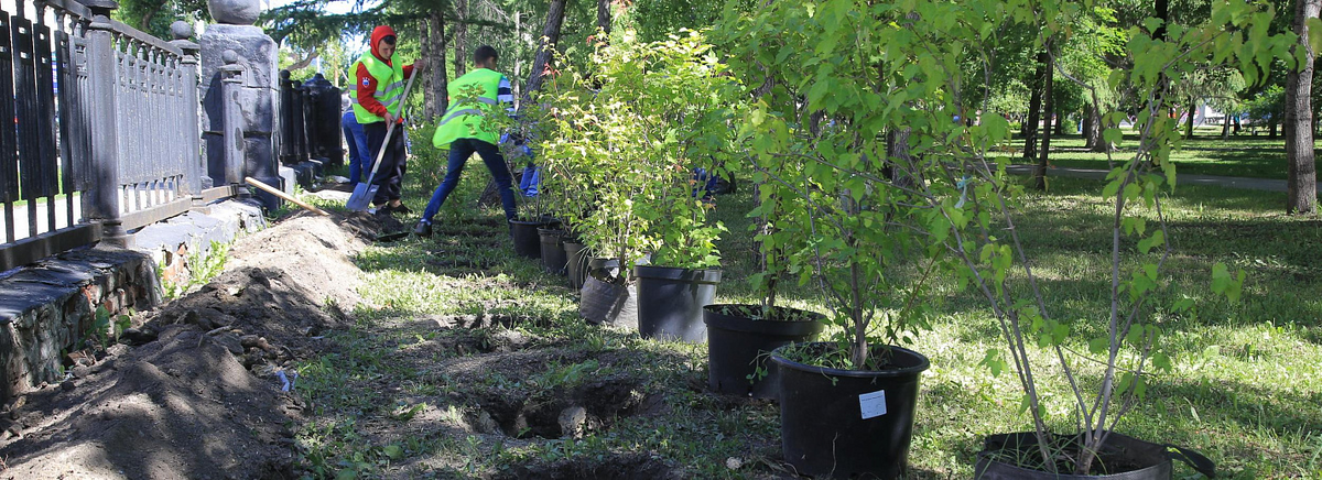 Фото: nsknews.info