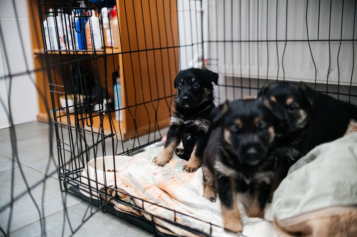 листайте карусель ⏩