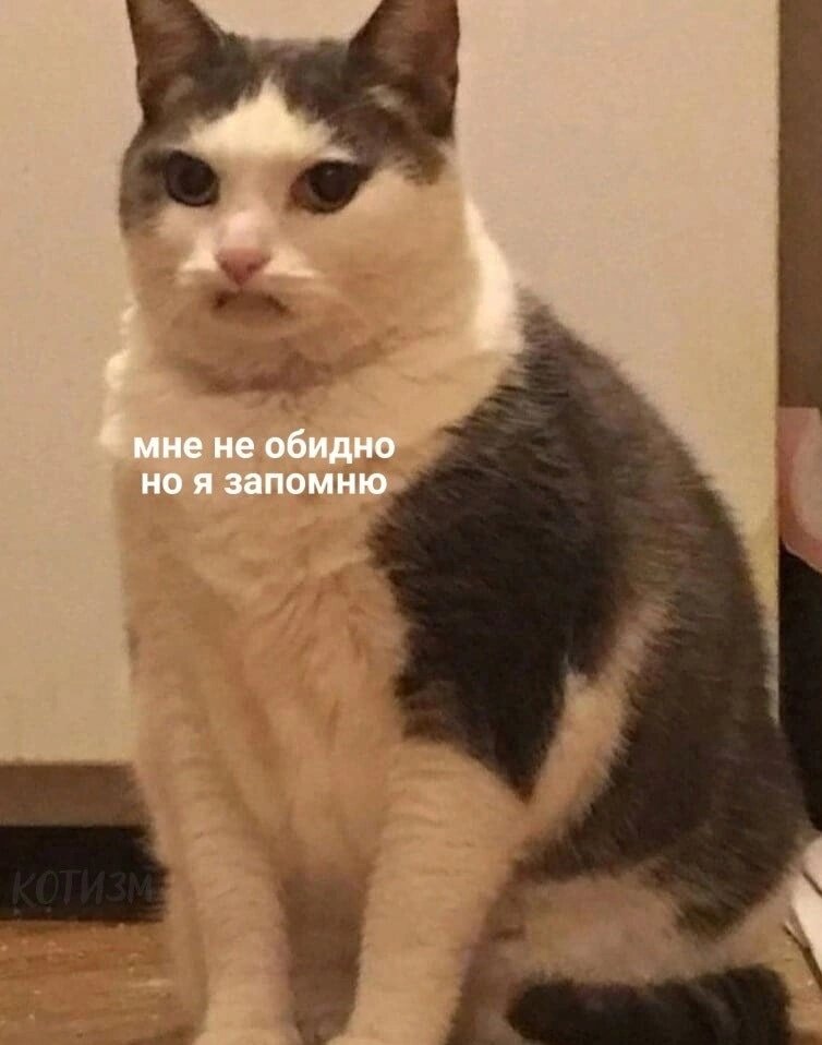 Картинка из общей сети Интернет