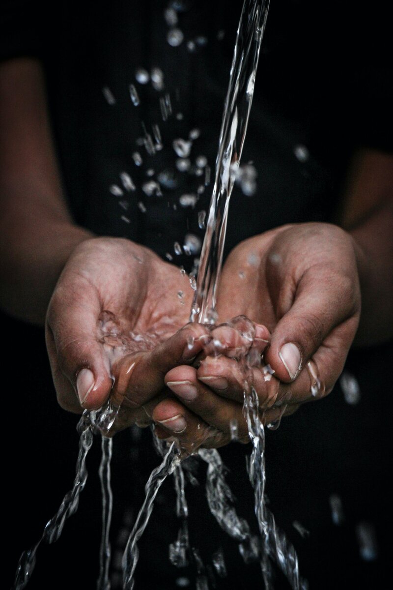    unsplash.com