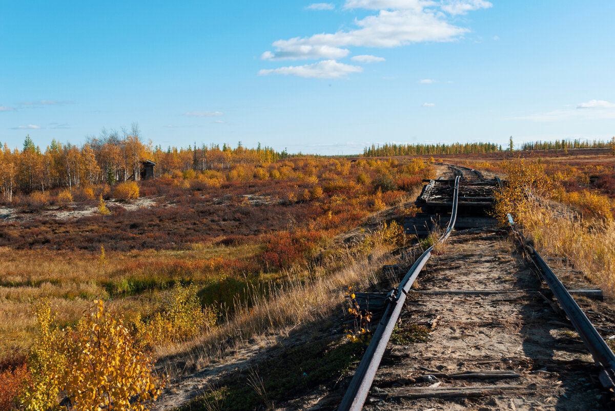 Фото: Dmitriy NDM/Shutterstock/Fotodom