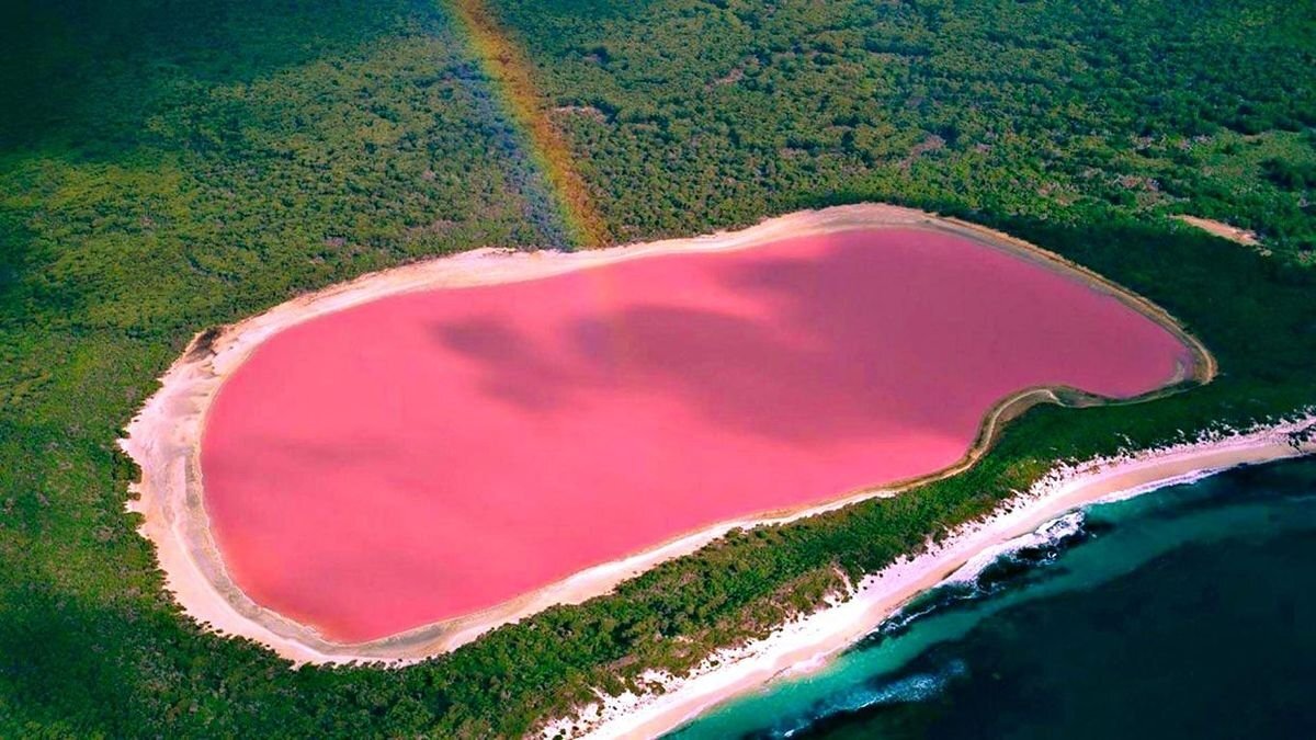 Озеро Хиллиер на острове Мидл-Айленд в Западной Австралии. Источник: magic-world.info