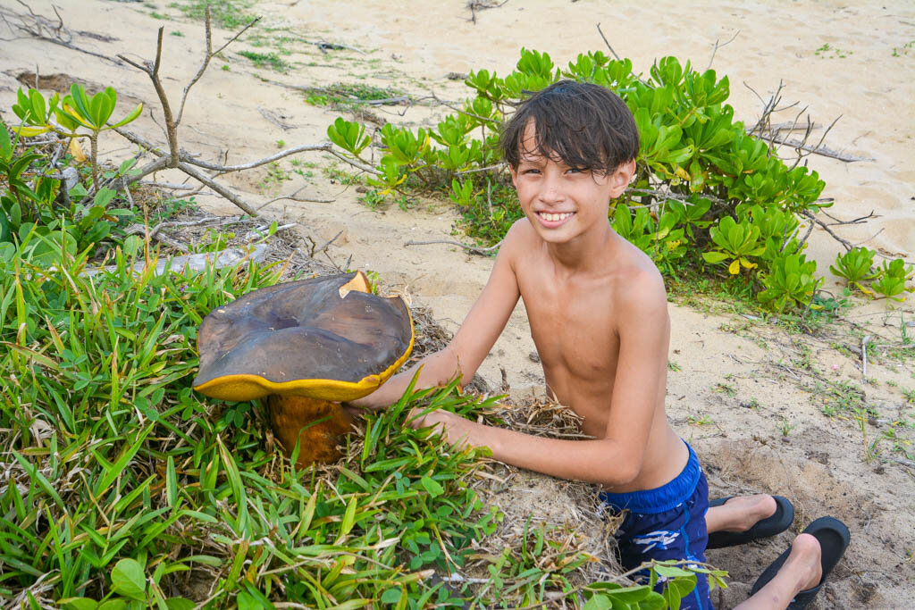 2. Как вам размерчик?