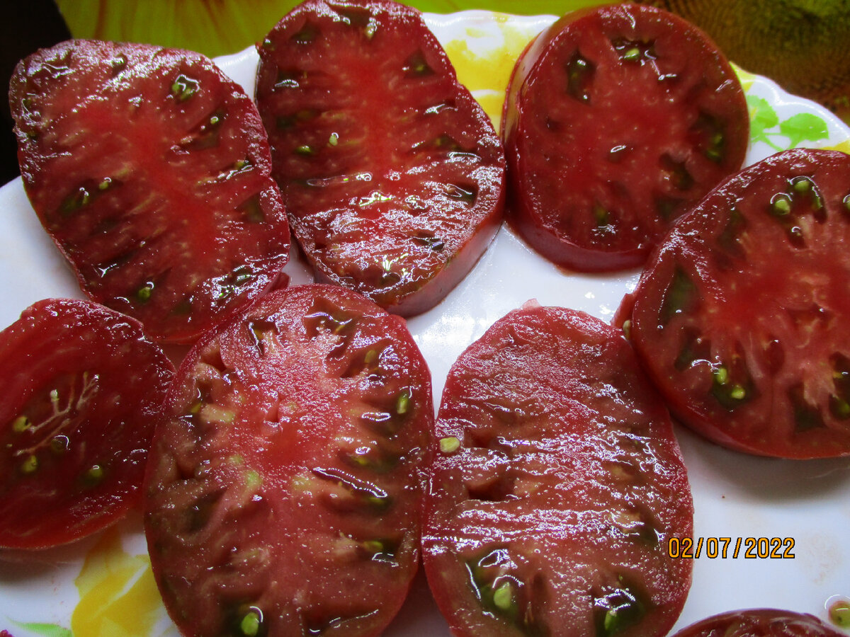 Один из самых ранних сортов Томатных Гномов - Пурпурное сердце. Красивый,  вкусный! | Огородная азбука Ольги Черновой. | Дзен