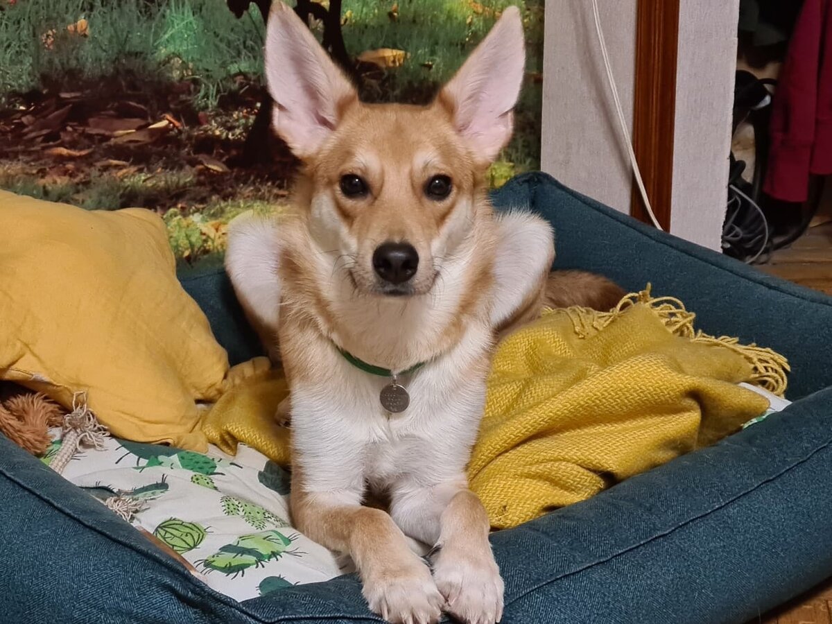 Фото-собственность канала