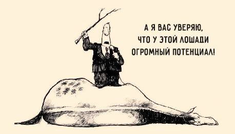 картинка из сети