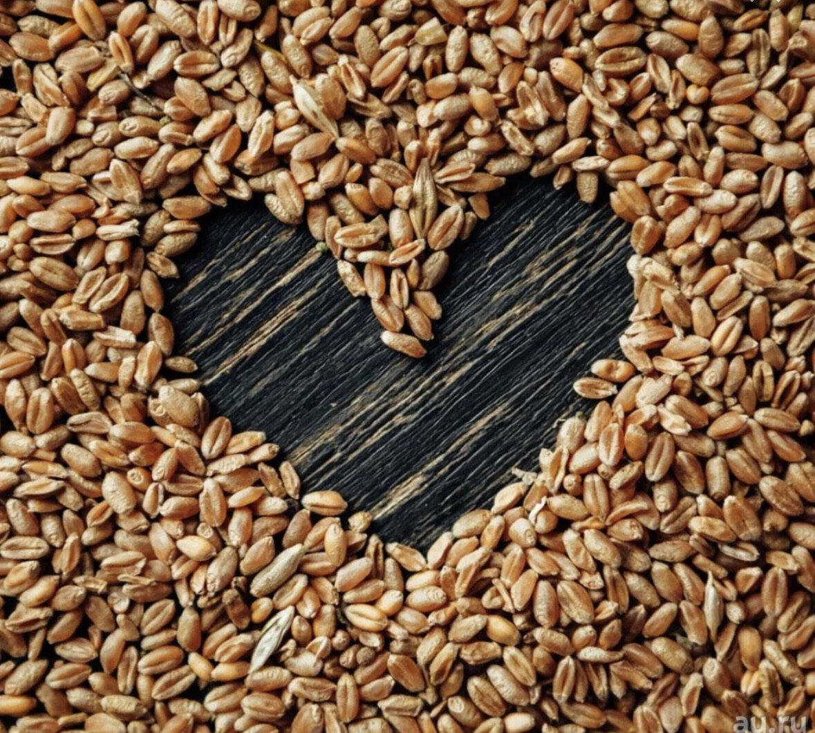 Фото из интернета