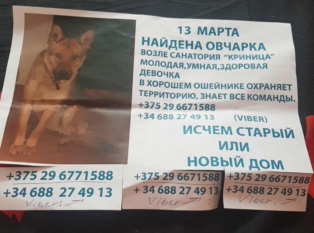 Орфография автора обьявления