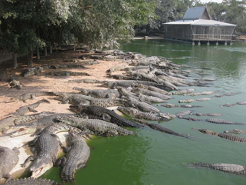 Курортная зона