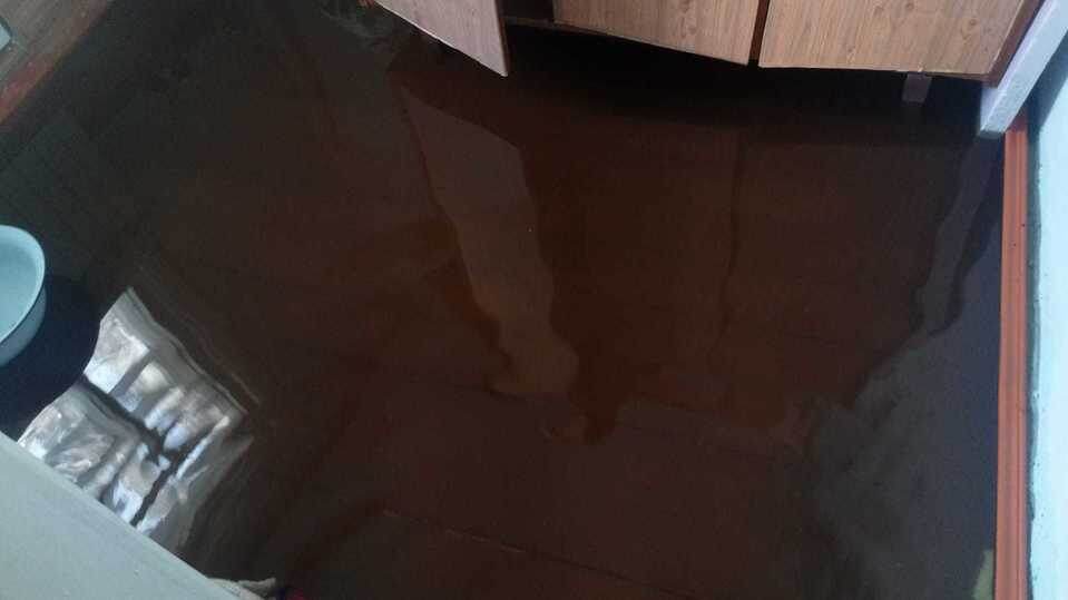     фото предоставлено очевидцем