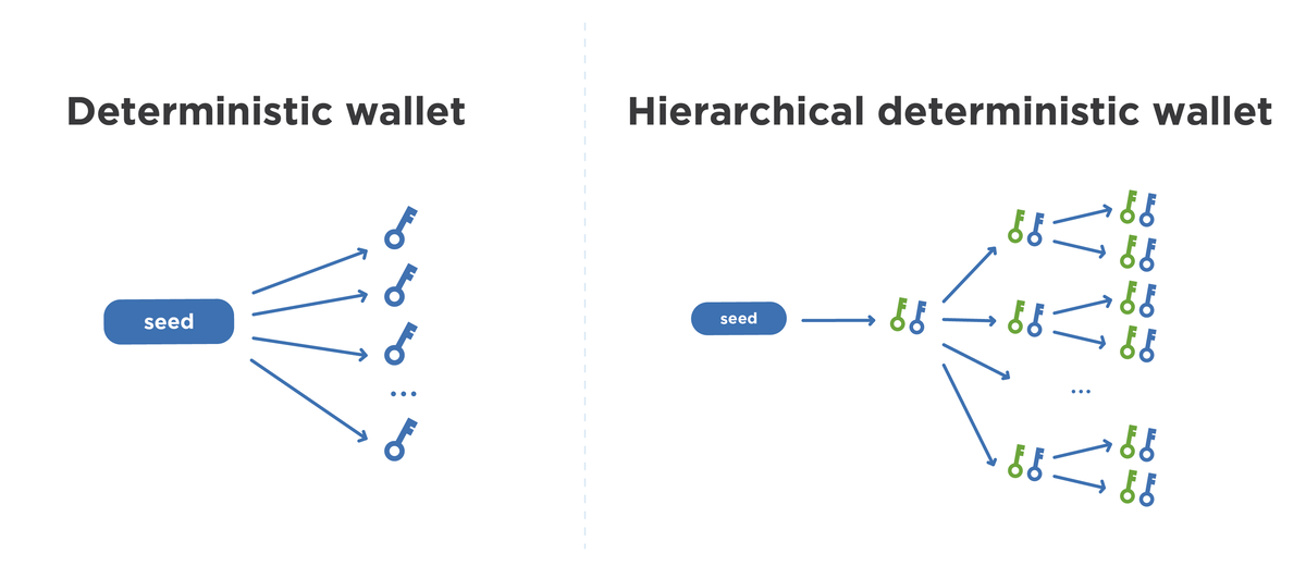 Схема детерминированного и иерархически-детерминированного кошелька