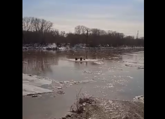    В Оренбурге троих подростков унесло течением на льдине на середину Урала Белов Михаил Александрович