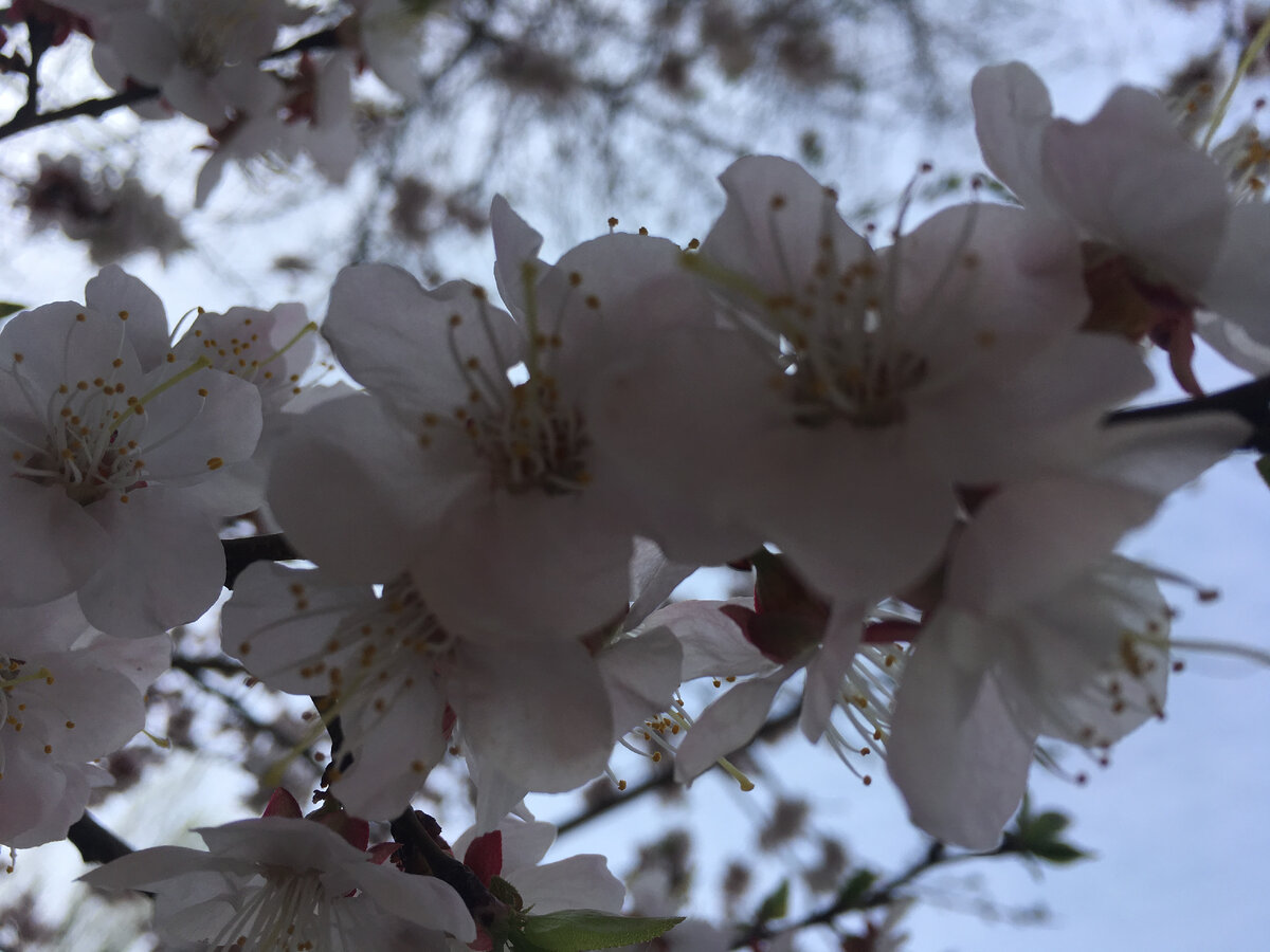Фото для весеннего настроения