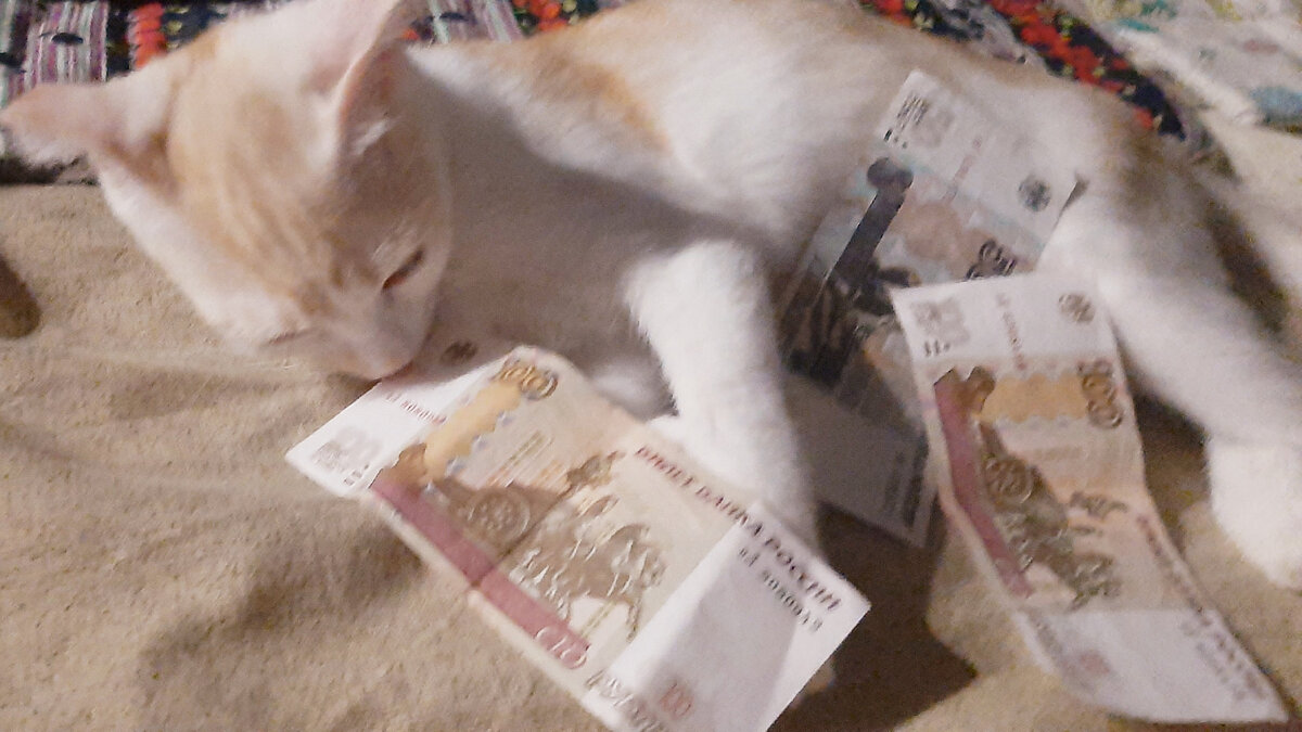 Зейницу сегодня модель)))  