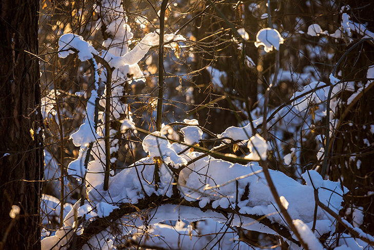 Фото Андрея Заржецкого.📷
