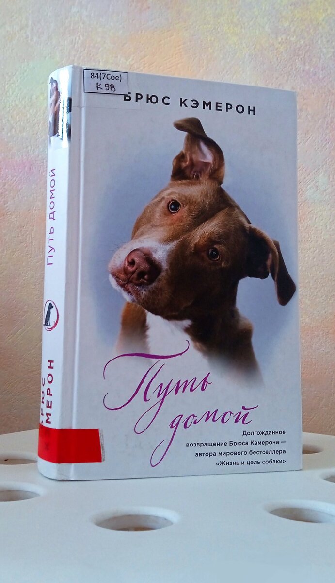 Обложка библиотечной книженции