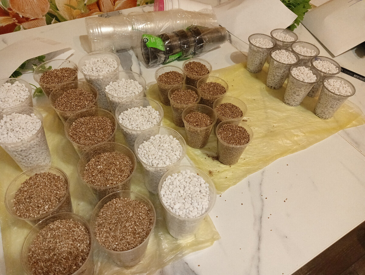 Подготовка