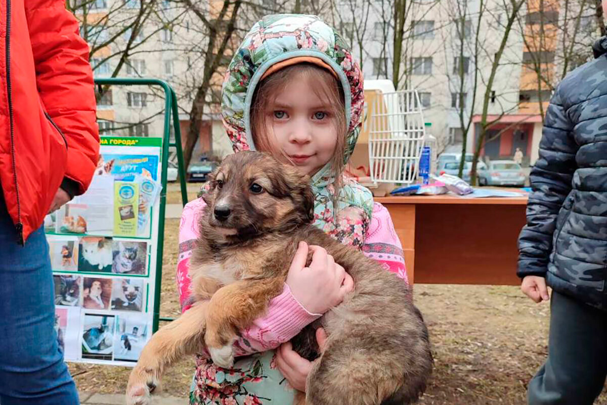   Фото: ЖКХ Минск Официально / Telegram