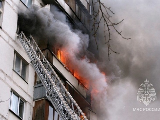     Фото: МЧС РФ