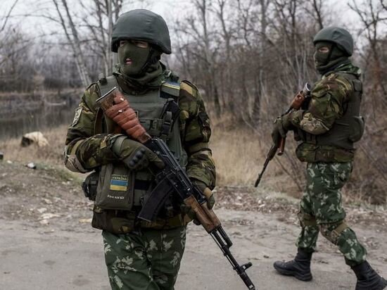     фото: ДАН