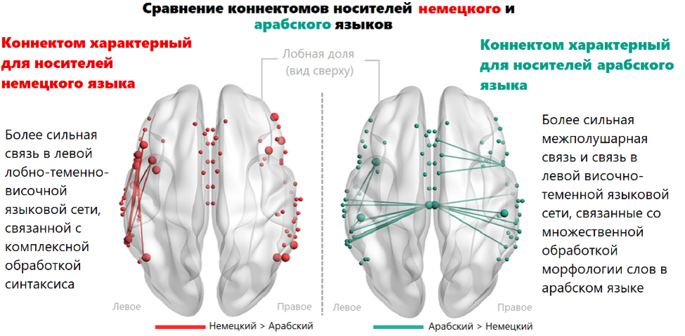 «Русский язык (раздел «Морфология»)» — читать в электронно-библиотечной система Znanium