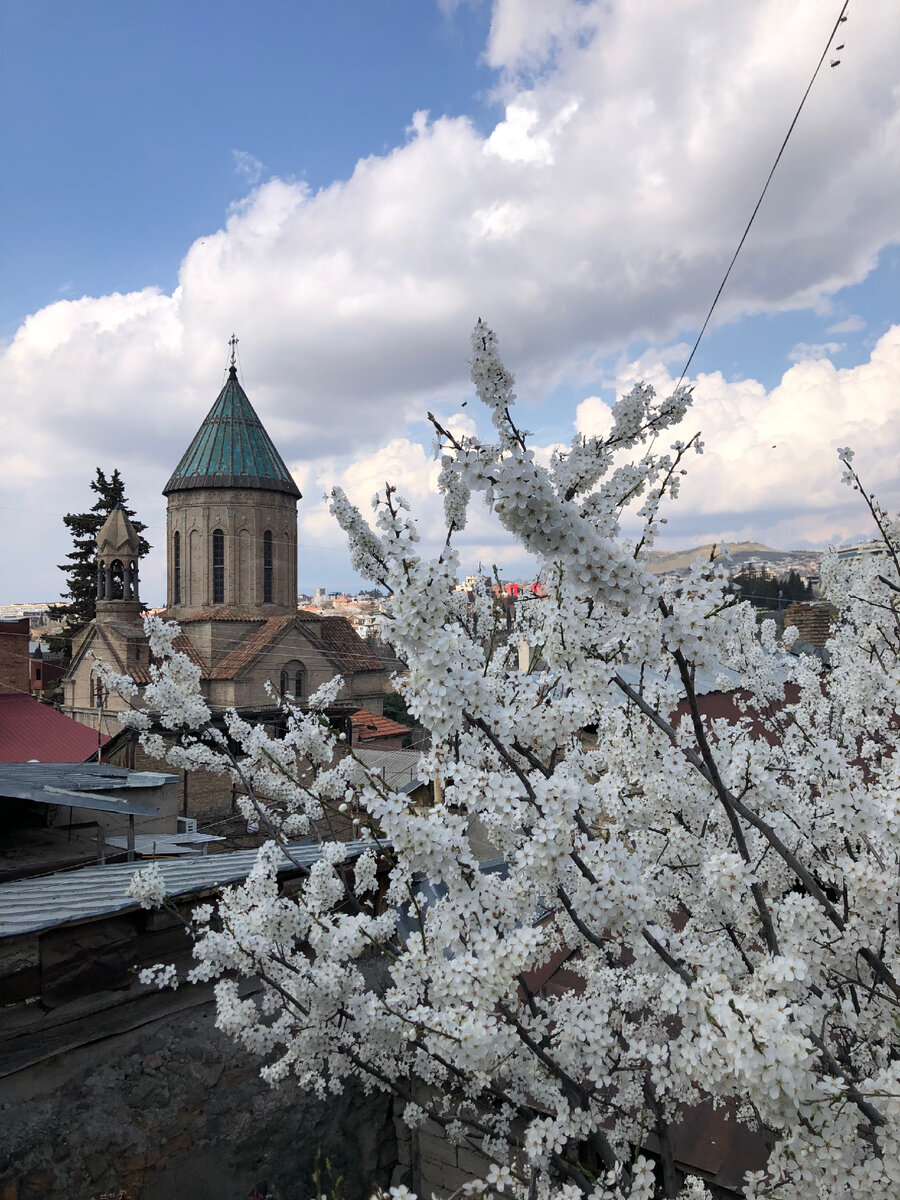 Тбилиси, вид рядом с домом, первая неделя - в гостях у Наны 🇬🇪 