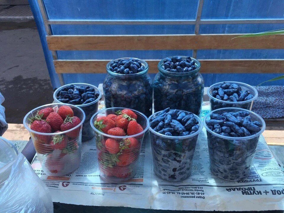     Никто и не против питаться больше ягодами - осталось дождаться сезона.  БОРЗОВ Денис