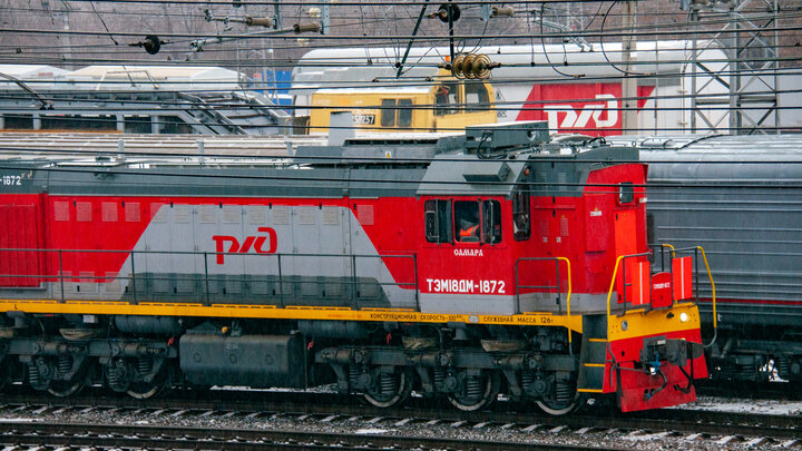 ФОТО:@SVETLANA VOZMILOVA/GLOBALLOOKPRESS