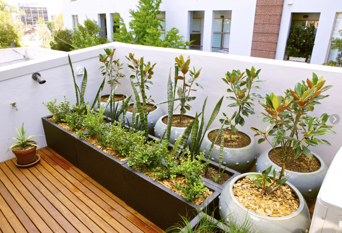 Как устроить сад на балконе. Идея для лета 2021-2022