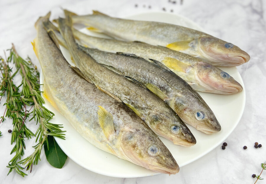 Жареная навага - интернет-магазин свежих морепродуктов и рыбы | Сахалинский икорный дом