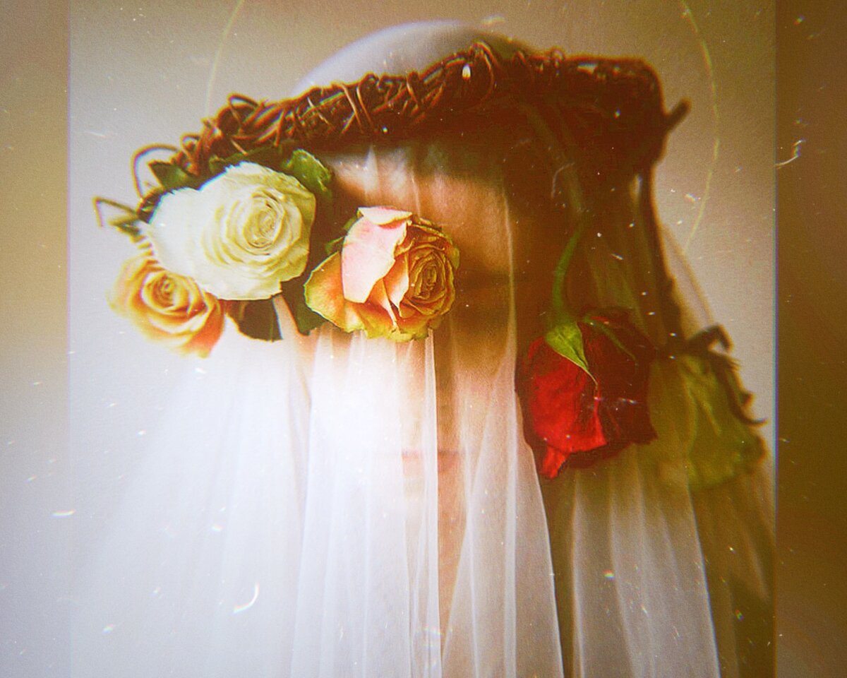 Яндекс Картинки