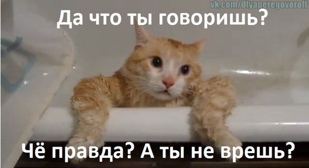 Ври дальше картинки