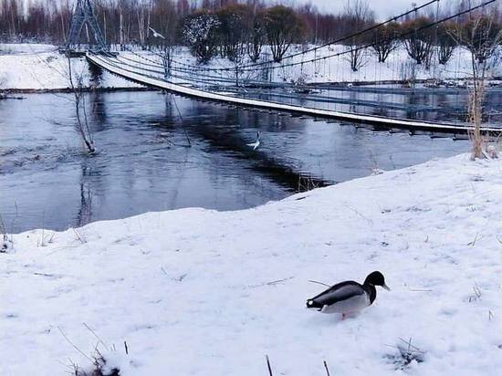     Фото: Telegram-канал Бориса Елкина