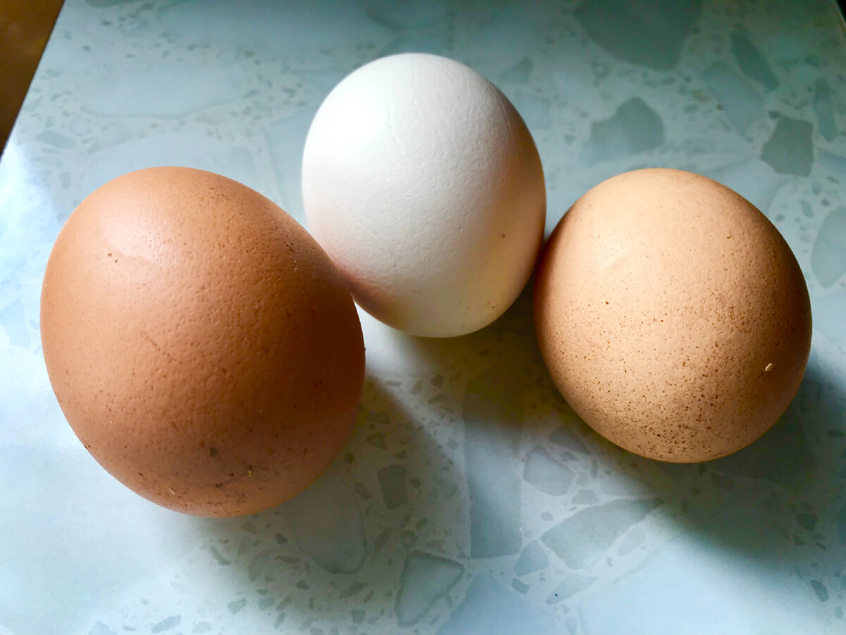 Какие яйца лучше купить. Какие яйца хорошие. Какие яйца лучше брать. Какие яйца самые большие. Яйца купить.