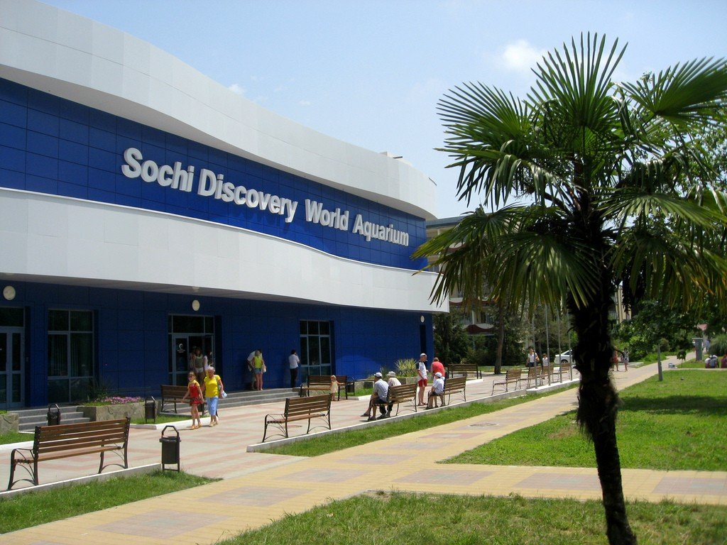 3 discovery world. Океанариум в Адлере Sochi Discovery World Aquarium. Адлер Ленина 219 океанариум. Сочи Дискавери ворлд аквариум. Sochi Discovery World Aquarium, Сочи, улица Ленина, 219а/4.