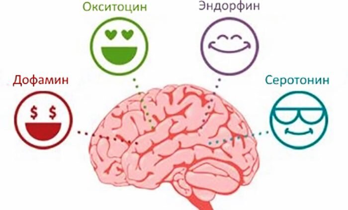 Серый кардинал в нашей жизни.