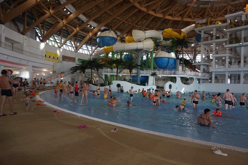     Фото: Анны Ковалёвой/"КП-Томск".