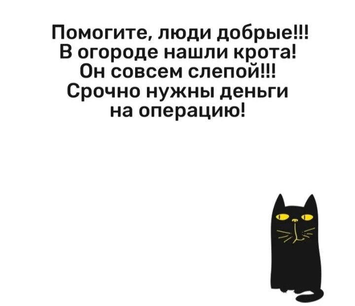 Улыбайтесь, друзья! 😊