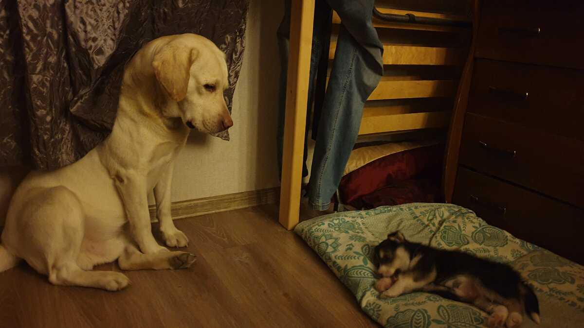 Личные фото с передержек